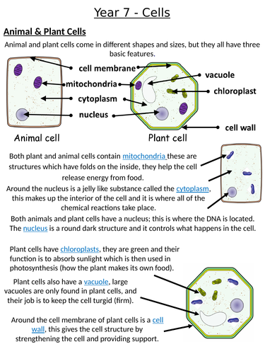 Home Learning Pack ~ KS3 ~ Year 7 ~ Cells | Teaching Resources