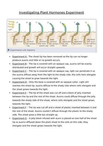 B5 Homeostasis and Response - AQA GCSE Biology (9-1) | Teaching Resources