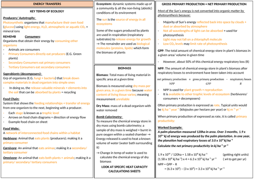 AQA A LEVEL BIOLOGY - Energy and Ecosystems Revision