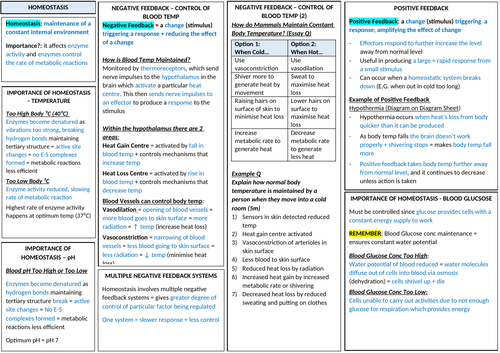 AQA A-LEVEL BIOLOGY - Homeostasis Revision