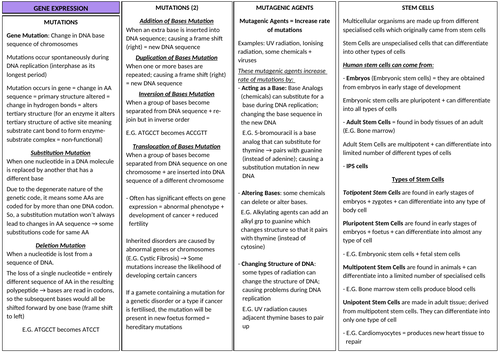 AQA A-LEVEL BIOLOGY - Gene Expression Revision