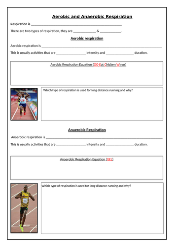 Aerobic and Anaerobic Respiration