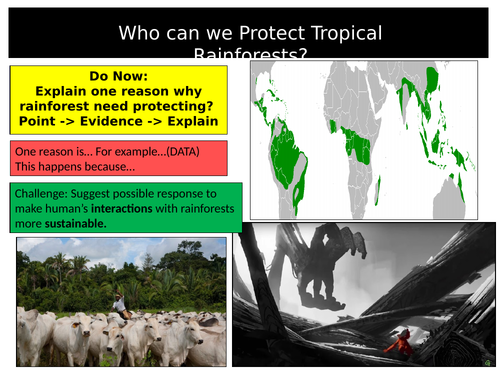 Forest Under Threat Teaching Resources 6572