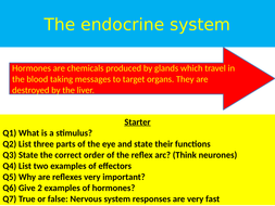 Hormones and the endocrine system | Teaching Resources