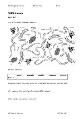 year 56 science homework full pack teaching resources