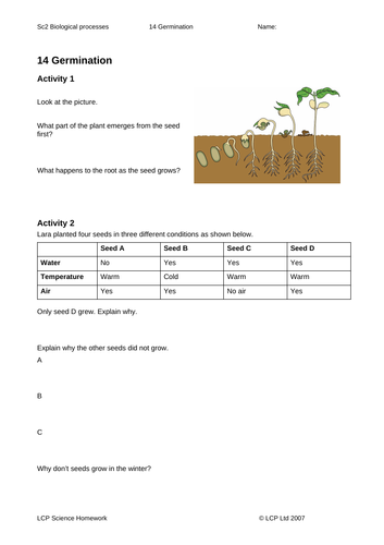 Year 5/6 Science Homework - Full pack | Teaching Resources