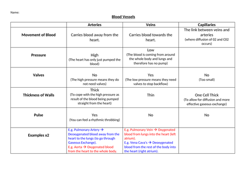 Cardio-Respiratory System | Teaching Resources