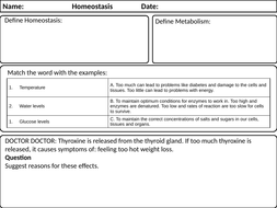 KS4 Revision Worksheets: Homeostasis | Teaching Resources