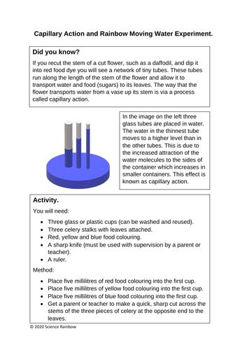 capillary action experiment