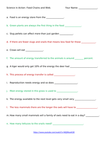 Science in Action Food Chains & Webs Video Questions