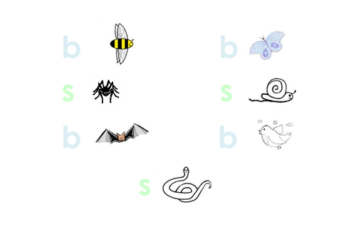 Phonics  + pictures: b + s