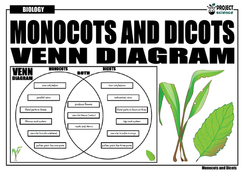 Monocots and Dicots Venn Diagram | Teaching Resources