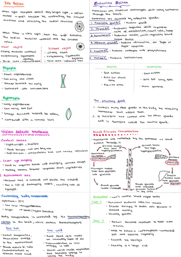 GCSE BIOLOGY PAPER 2 FLASHCARDS | Teaching Resources