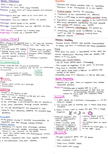 GCSE BIOLOGY PAPER 2 FLASHCARDS | Teaching Resources