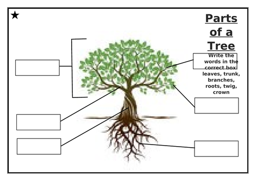 KS1 Parts of a Tree differentiated