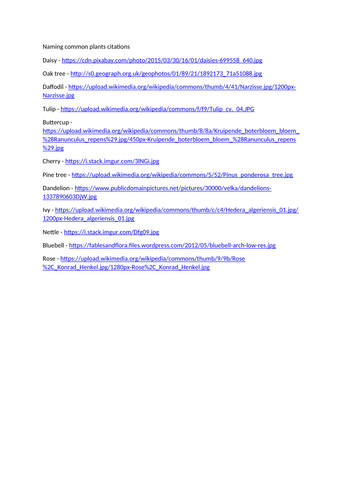 KS1 Parts of a Tree differentiated | Teaching Resources