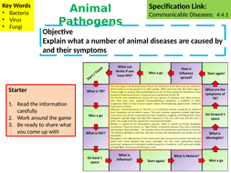 A Level Biology Animal Pathogens (Disease) Lesson & Activities ...