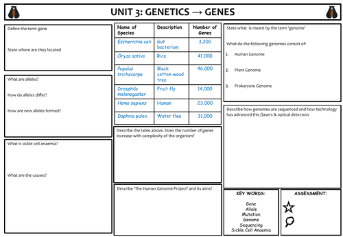 ib-biology-topic-3-genetics-summary-teaching-resources