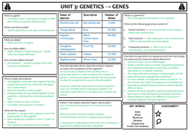 IB Biology - Topic 3 - Genetics - Summary | Teaching Resources