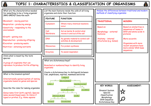 igcse-biology-topic-1-characteristics-classification-summary