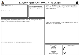 IGCSE Biology - Topic 5 - Enzymes - Summary | Teaching Resources