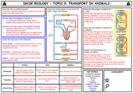IGCSE Biology - Topic 9 - Transport in Animals - Summary | Teaching ...