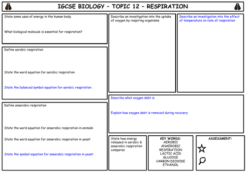 igcse-biology-topic-12-respiration-summary-teaching-resources