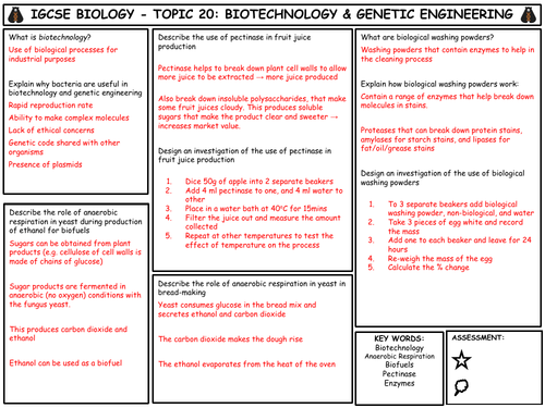 IGCSE Biology - Topic 20 - Biotechnology & Genetic Engineering
