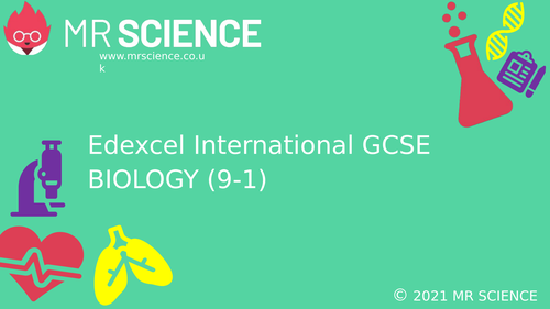 Igcse Edexcel Biology 9 1 Reproduction Humans Updated Teaching Resources 9797