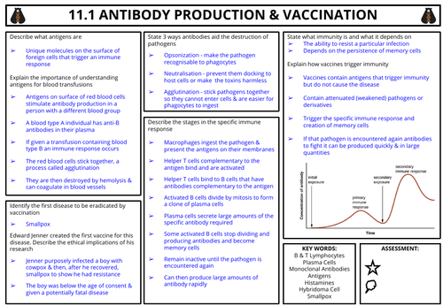 ib-biology-topic-11-animal-physiology-summary-teaching-resources