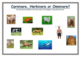 KS1 Carnivore, Omnivore, Herbivore sorting | Teaching Resources