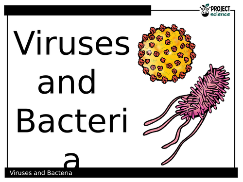 Viruses and Bacteria PowerPoint and Activity Sheets | Teaching Resources