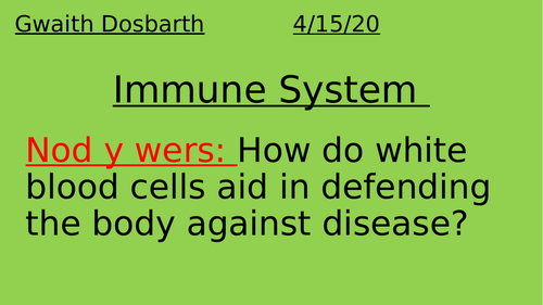 Immune System