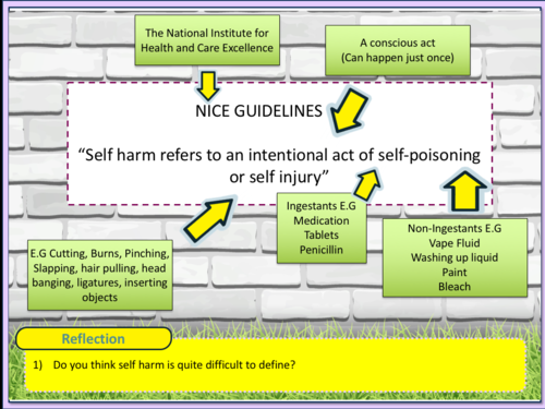 self harm powerpoint presentation