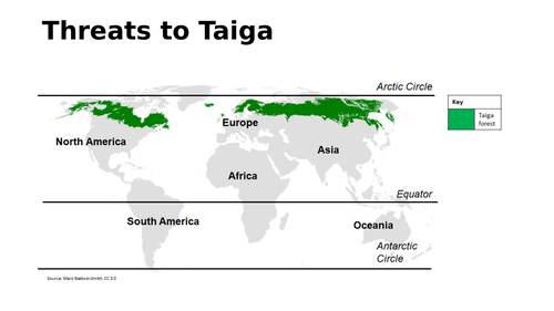 Threats to taiga forests | Teaching Resources