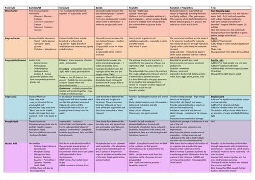 docx, 21.46 KB