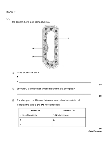 docx, 504.73 KB