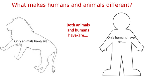 Animal rights - lessons and booklet | Teaching Resources