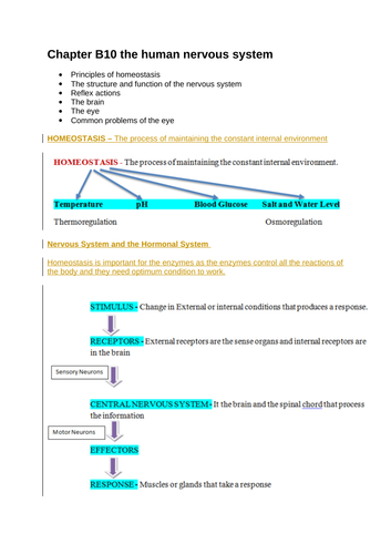 docx, 435.59 KB