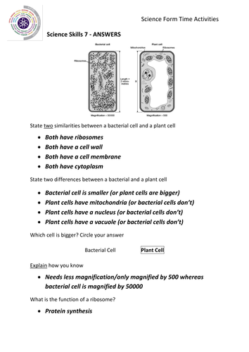 docx, 228.06 KB