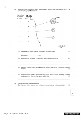 pdf, 186.97 KB