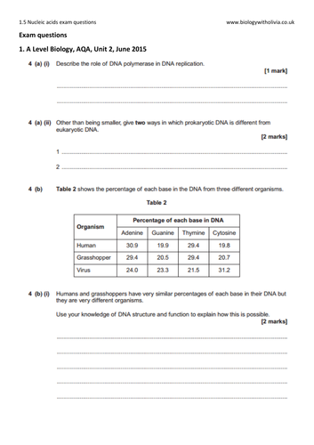 Dna And Rna Questions And Answers