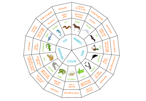 Vertebrates - Learning wheel (KS2/3) | Teaching Resources