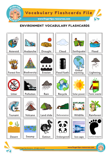 Environment Vocabulary Flashcards