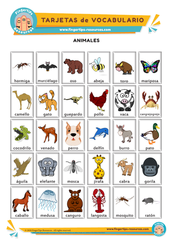 Animales - Vocabulary Flashcards