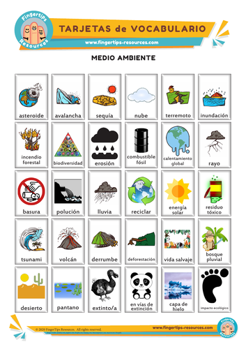 Medio Ambiente - Vocabulary Flashcards