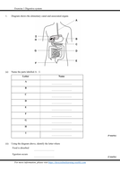 KS3_Secondary 1 checkpoint_worksheet and revision (with answer script ...