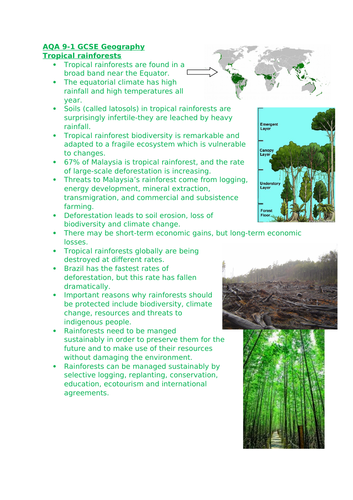 AQA tropical rainforest knowledge organiser