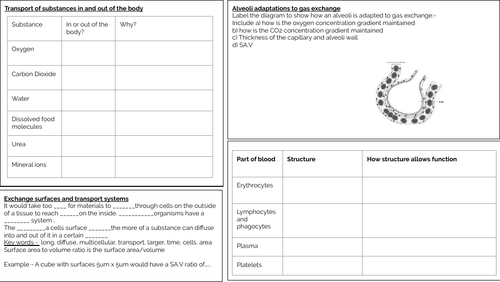 Edexcel Biology (9-1) Paper 2 revision mats | Teaching Resources