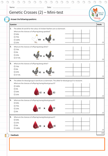 Genetic Crosses (2) - Mini-test (KS4) | Teaching Resources